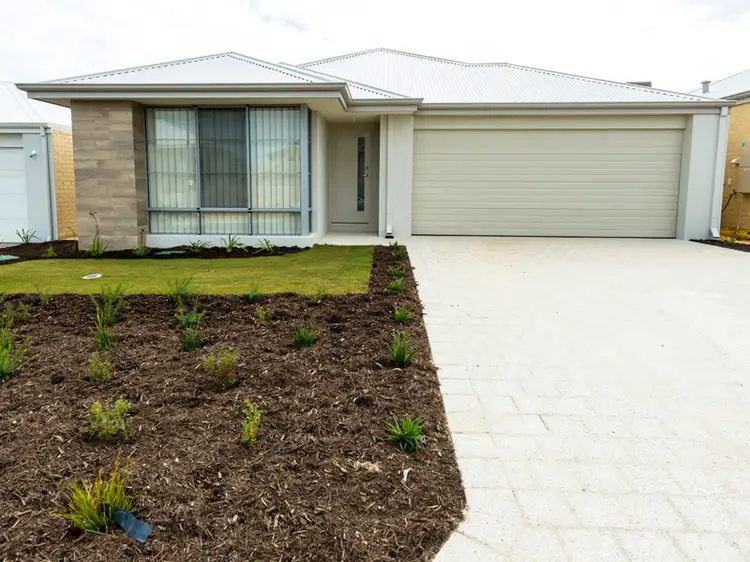 37 Malleefowl Way, Alkimos WA 6038