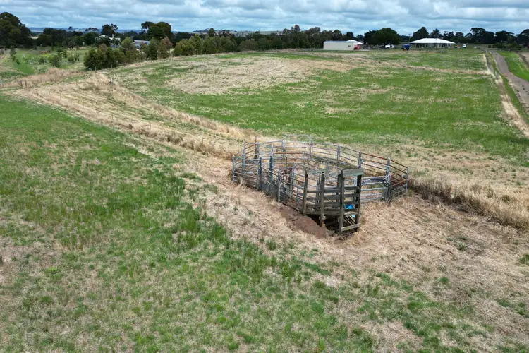 Fifth view of Homely rural property listing, 69-81 Ryans Lane, Coragulac VIC 3249