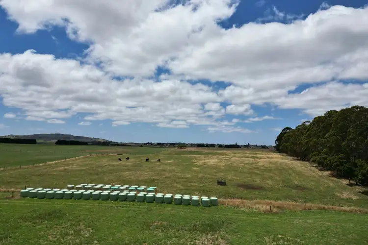 Seventh view of Homely rural property listing, 69-81 Ryans Lane, Coragulac VIC 3249