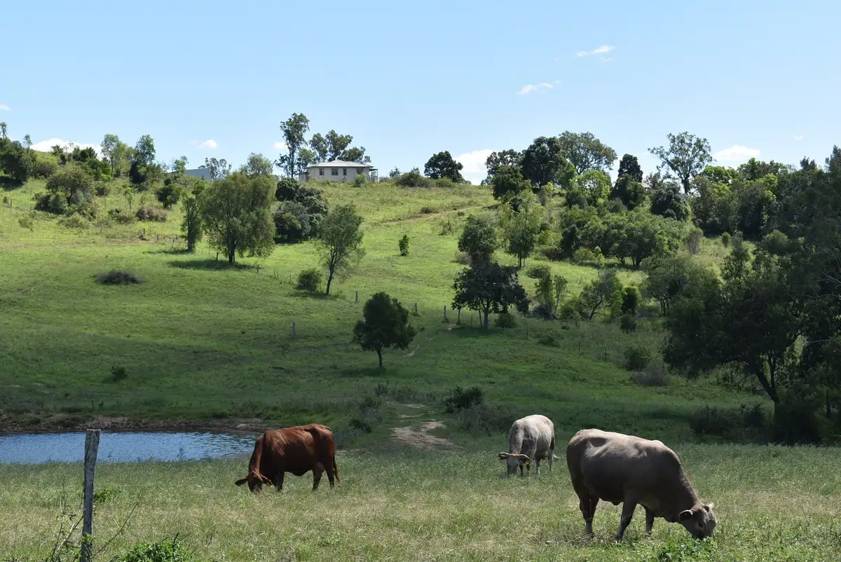 Main view of Homely rural property listing, 103 Hartz Road, Iredale QLD 4344