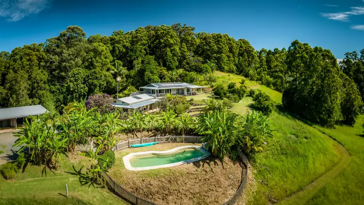 Seventh view of Homely house listing, 165 Hydes Creek Road, Bellingen NSW 2454