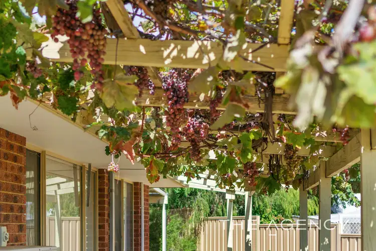 Fifth view of Homely house listing, 19 James Street, Swan View WA 6056