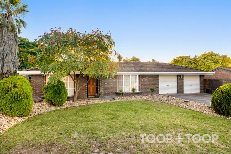 8 Catharina Court, Modbury Heights SA 5092