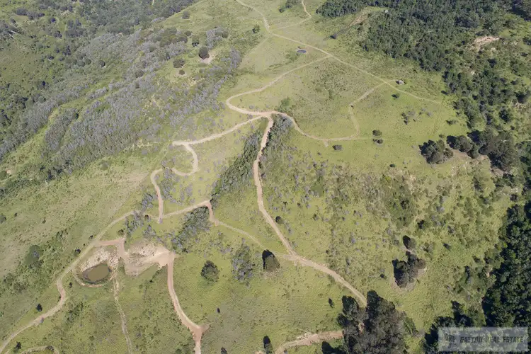 Sixth view of Homely rural property listing, LOT 98 Dry Gully Road, Mount Whitestone QLD 4347