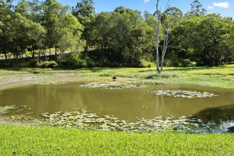 Third view of Homely rural property listing, 446 Worongary Road, Worongary QLD 4213