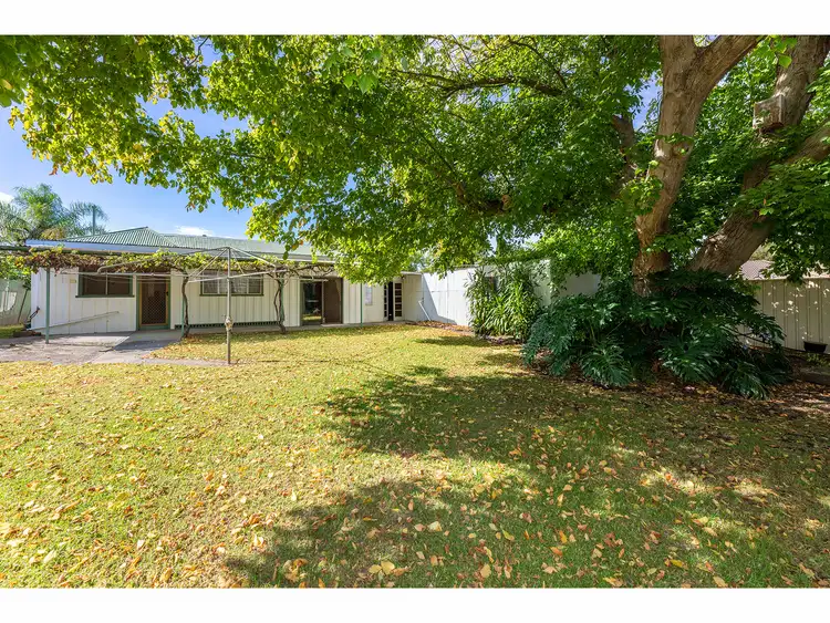Main view of Homely house listing, 517 Danes Street, Lavington NSW 2641