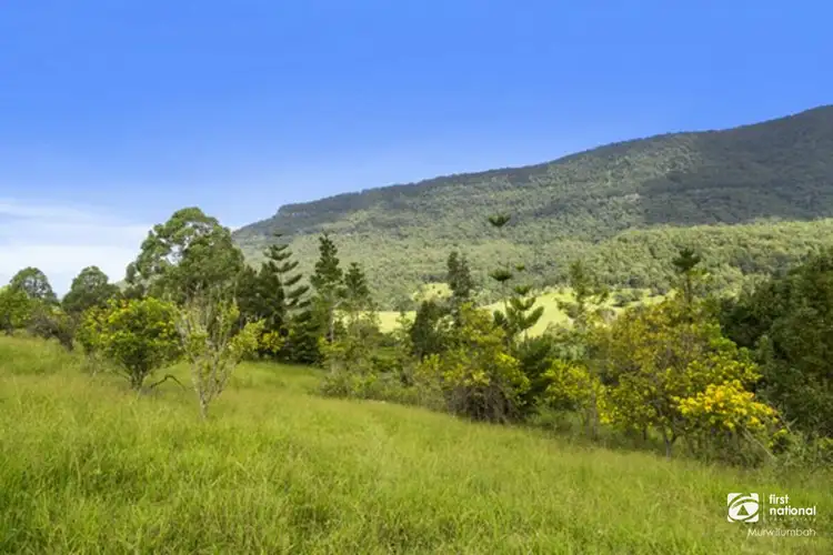 Third view of Homely land listing, 372 Limpinwood Valley Road, Limpinwood NSW 2484