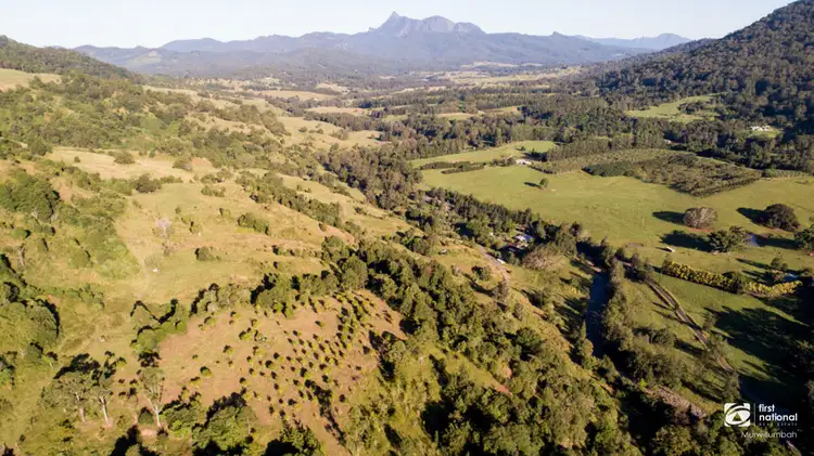 Fifth view of Homely land listing, 372 Limpinwood Valley Road, Limpinwood NSW 2484