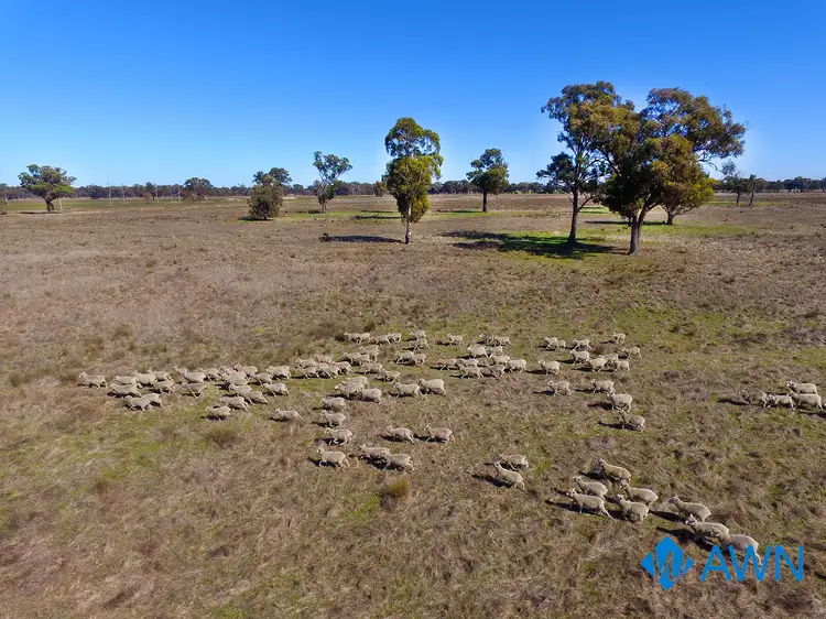 Main view of Homely rural property listing, LOT Lot 1 LP 63017 Stubbs Road, Pranjip VIC 3666