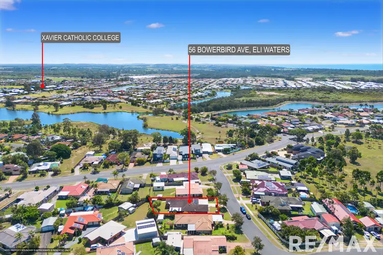Main view of Homely house listing, 56 Bowerbird Avenue, Eli Waters QLD 4655