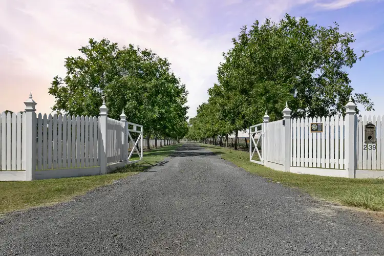 Second view of Homely rural property listing, 239 Westbrook Wyreema Road, Westbrook QLD 4350