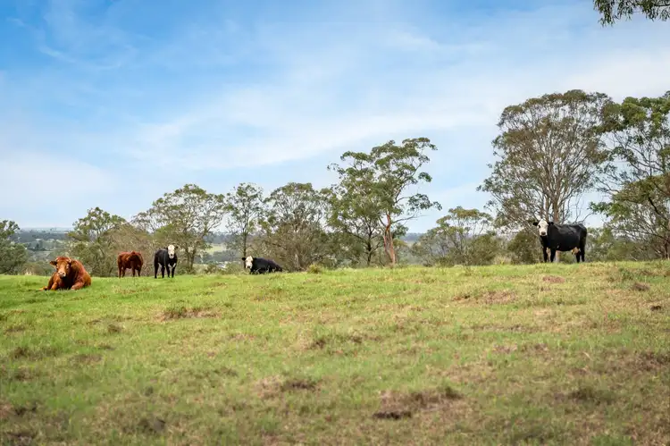 Second view of Homely house listing, 9 Donohoes Avenue, Mulgoa NSW 2745