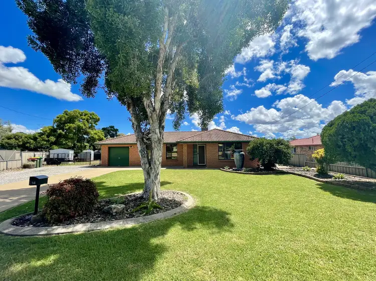 Main view of Homely house listing, 14 Walter Rodd, Gunnedah NSW 2380