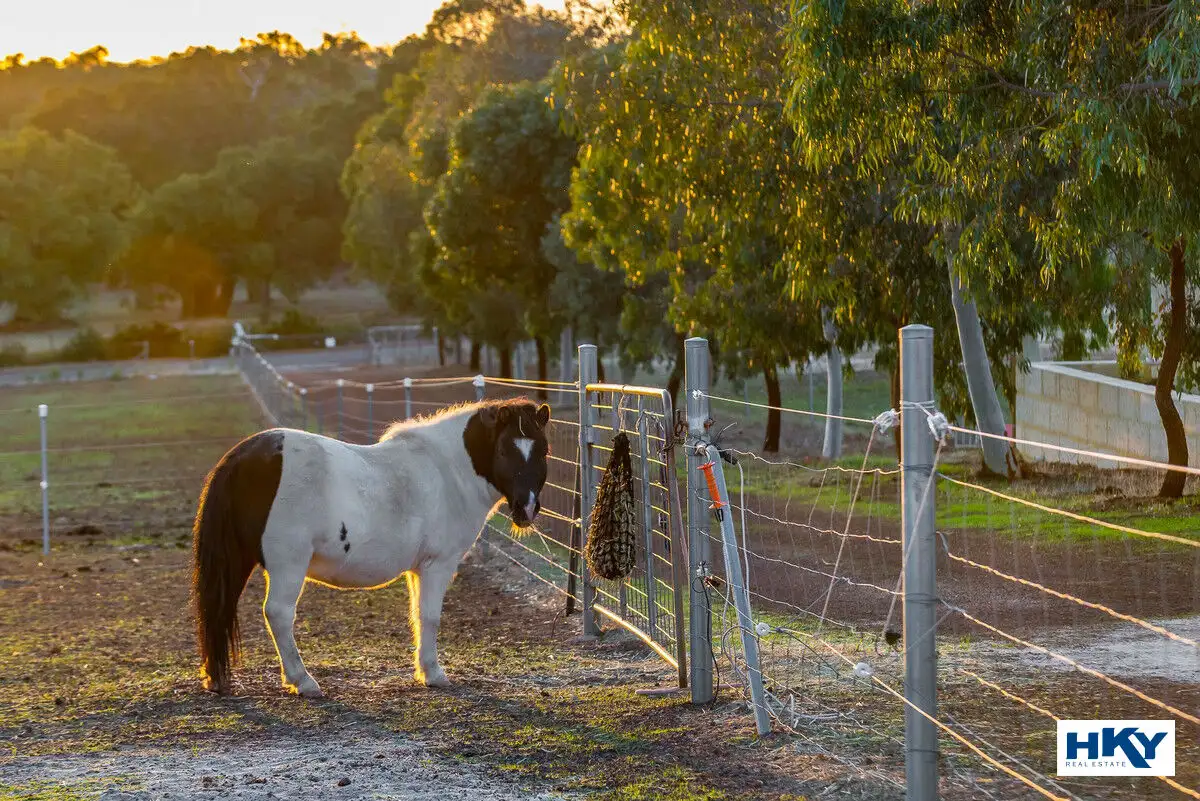 Main view of Homely house listing, 359 Morley Road, Lower Chittering WA 6084