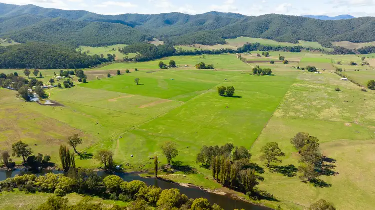 Fifth view of Homely rural property listing, 1179 Mitta North Road, Mitta Mitta VIC 3701