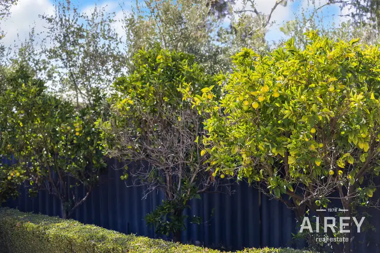 Sixth view of Homely house listing, 3 McClemans Road, Mount Claremont WA 6010