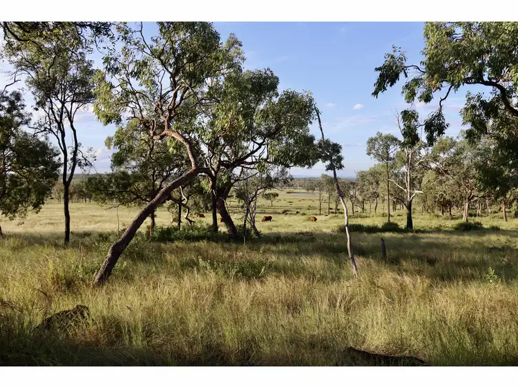 LOT 3 Dalma Ridgelands Road, Ridgelands QLD 4702