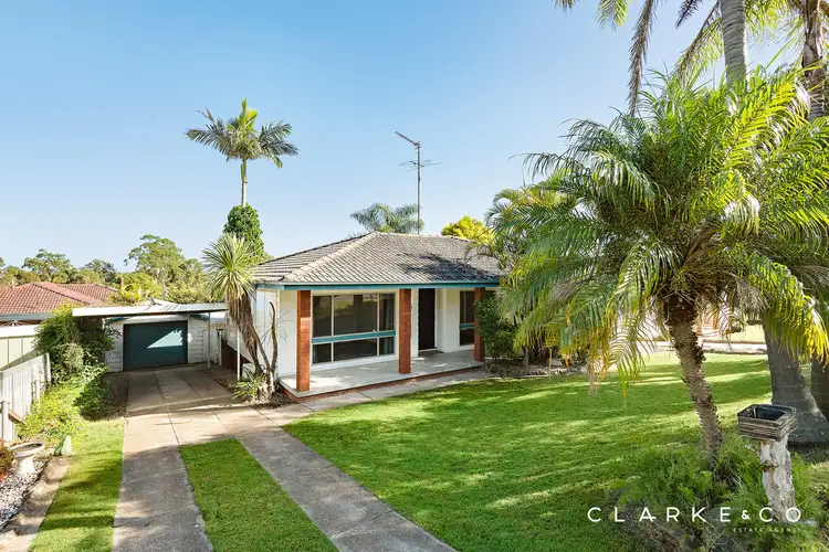 31 Buffier Crescent, Rutherford NSW 2320