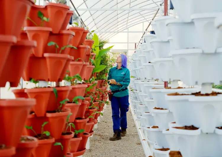 Fourth view of Homely rural property listing, 10172 New England Highway, Cabarlah QLD 4352