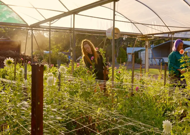 Fifth view of Homely rural property listing, 10172 New England Highway, Cabarlah QLD 4352