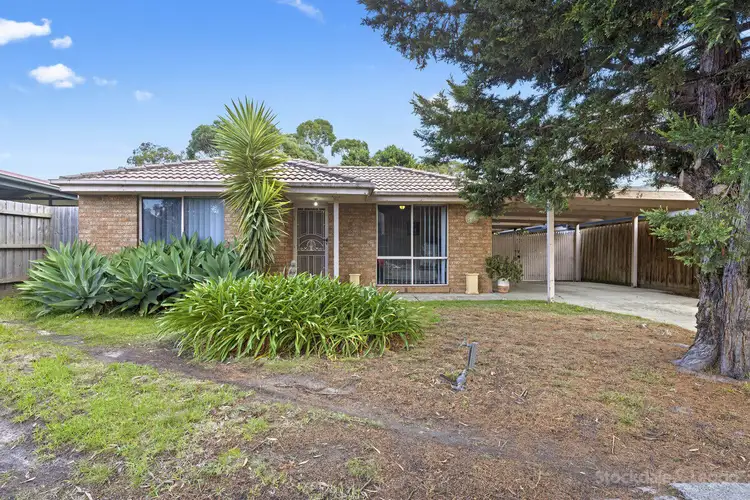 Main view of Homely house listing, 24 McGuigan Drive, Cranbourne West VIC 3977