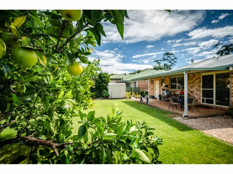 Second view of Homely house listing, 12 Elliot Close, Bellingen NSW 2454
