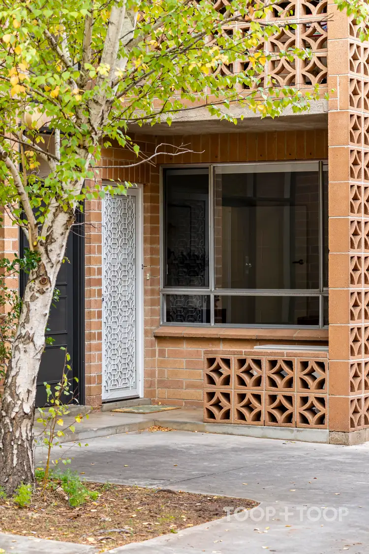 3/82 Alexandra Avenue, Rose Park SA 5067