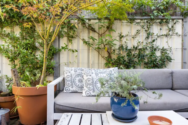 Fourth view of Homely terrace listing, 162 Abercrombie Street, Redfern NSW 2016