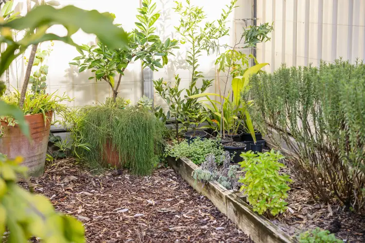 Fifth view of Homely terrace listing, 162 Abercrombie Street, Redfern NSW 2016