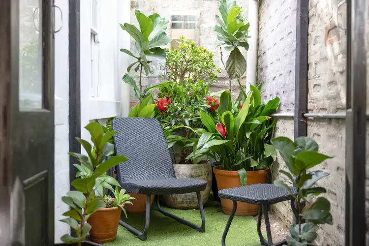Fourth view of Homely terrace listing, 19 McElhone Place, Surry Hills NSW 2010