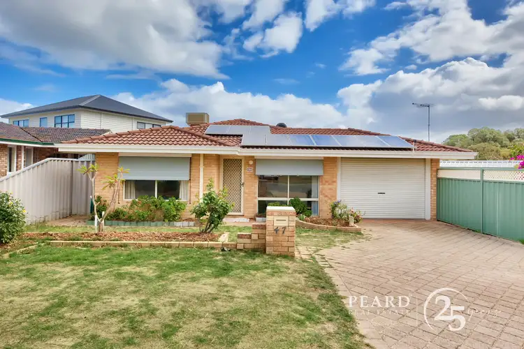 Main view of Homely house listing, 47 Mayflower Crescent, Craigie WA 6025
