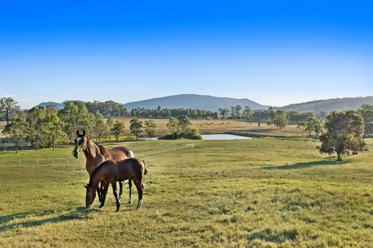 2684 Glendonbrook Road, Gresford NSW 2311