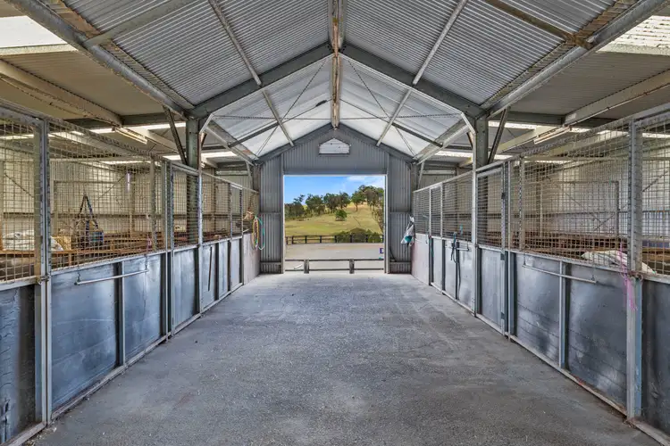 Sixth view of Homely rural property listing, 180 Marshdale Road, Alison NSW 2420