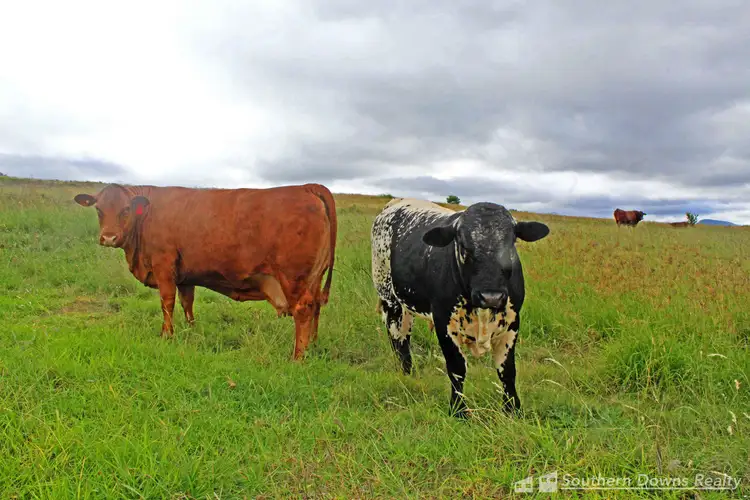Third view of Homely land listing, LOT 400, 237 Swanfels Road, Yangan QLD 4371
