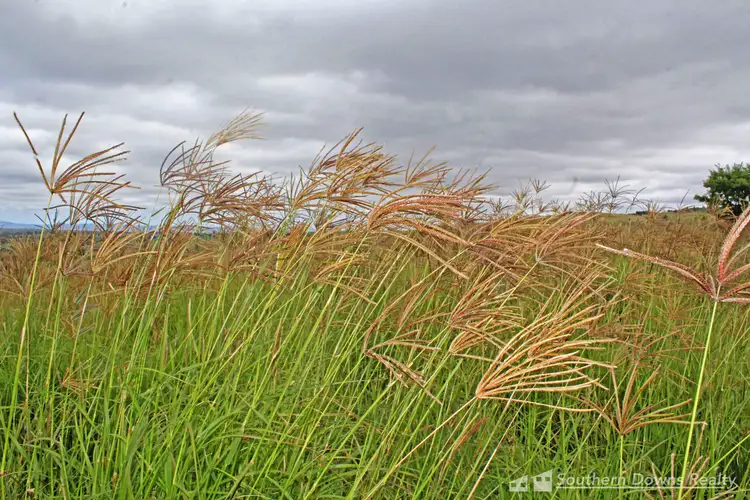 Fourth view of Homely land listing, LOT 400, 237 Swanfels Road, Yangan QLD 4371
