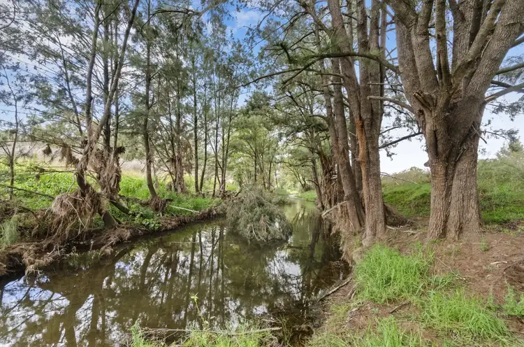 366 Wallabadah Road, Wallabadah NSW 2343