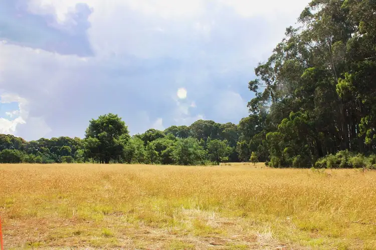 Fifth view of Homely rural property listing, 1189 Upper Boho Road, Boho South VIC 3669