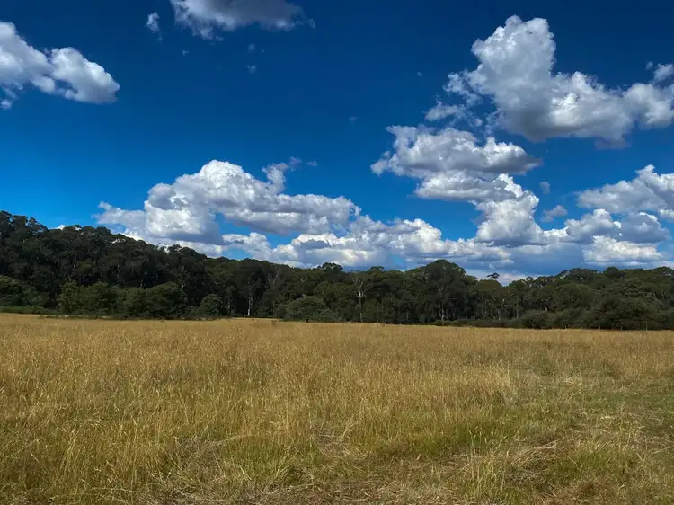 Sixth view of Homely rural property listing, 1189 Upper Boho Road, Boho South VIC 3669
