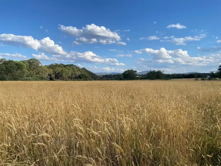 Seventh view of Homely rural property listing, 1189 Upper Boho Road, Boho South VIC 3669