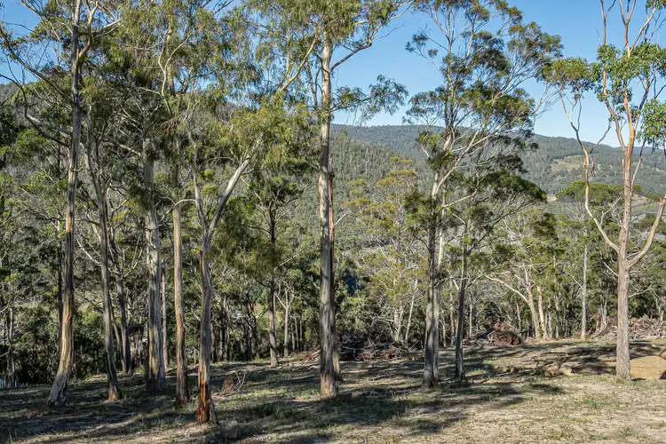 Main view of Homely land listing, 42 Bull Oak Way, Grove TAS 7109