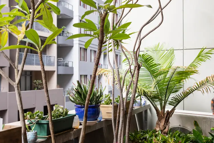 Fifth view of Homely apartment listing, 408/1 Poplar Street, Surry Hills NSW 2010