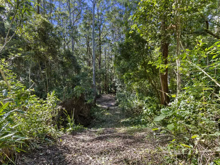 Third view of Homely land listing, 1943 Springbrook Road, Springbrook QLD 4213