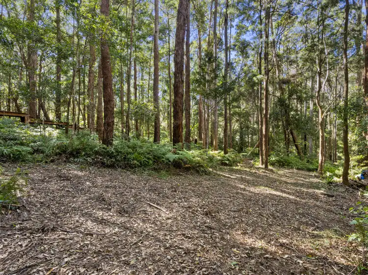 Fourth view of Homely land listing, 1943 Springbrook Road, Springbrook QLD 4213