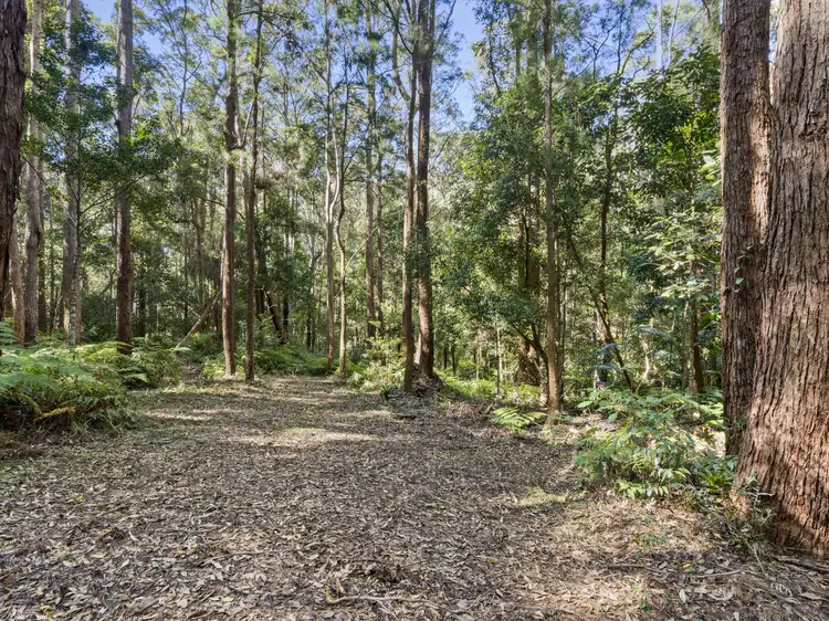 Sixth view of Homely land listing, 1943 Springbrook Road, Springbrook QLD 4213