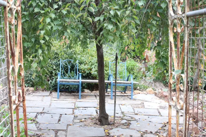 Second view of Homely house listing, 12 Mais Street, Farrell Flat SA 5416