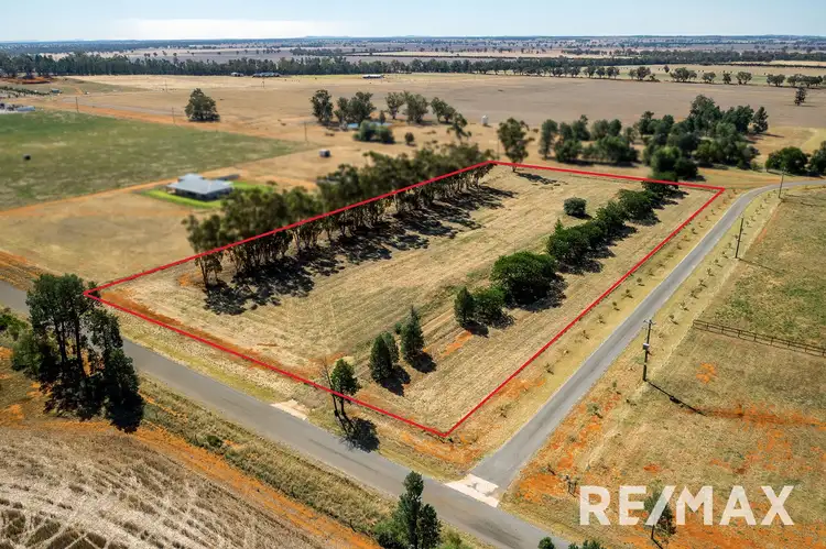 89 Campbells Lane, Coolamon NSW 2701