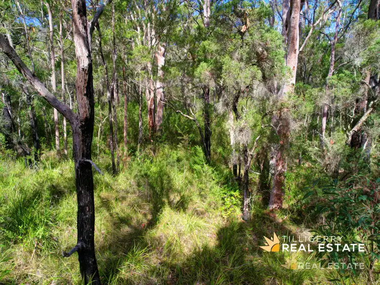 Third view of Homely land listing, LOT 903 Hamilton Street, North Arm Cove NSW 2324