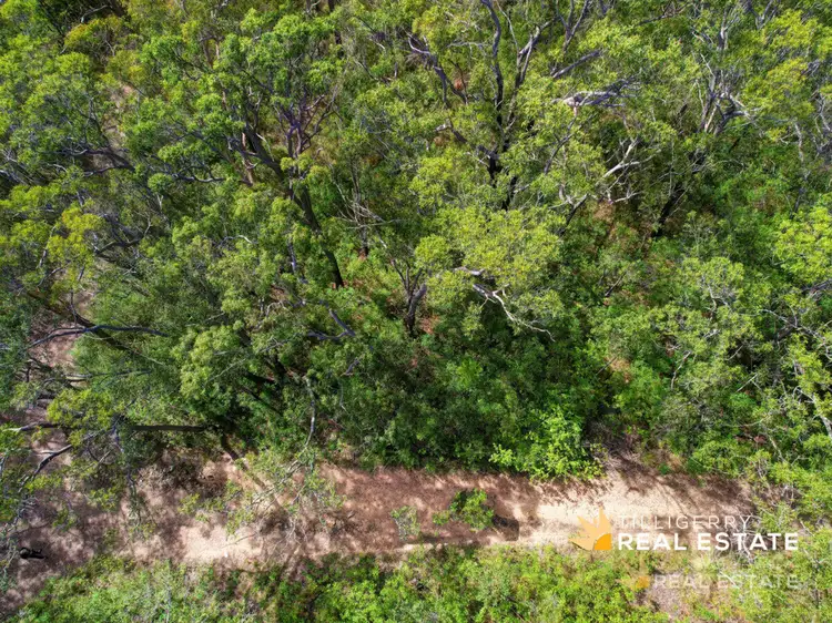 Third view of Homely land listing, LOT 899 Muswellbrook Avenue, North Arm Cove NSW 2324