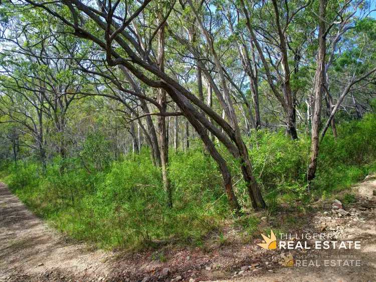 Fourth view of Homely land listing, LOT 899 Muswellbrook Avenue, North Arm Cove NSW 2324