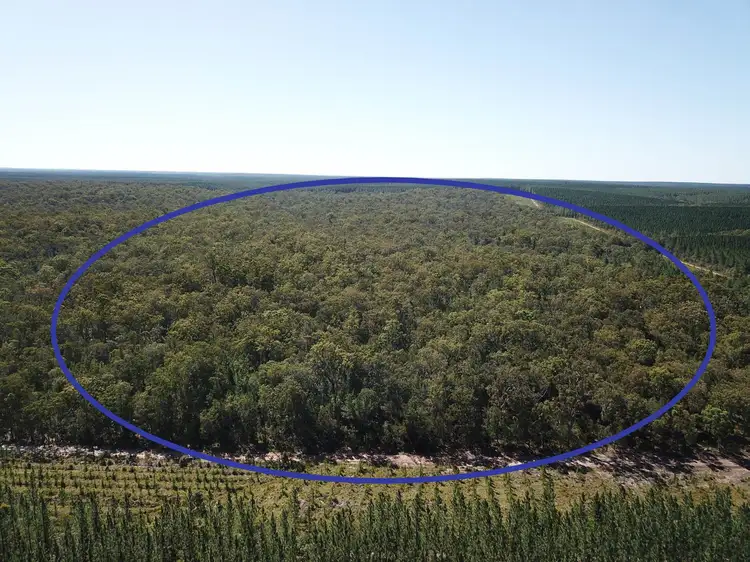 LOT 2 Tahiti Road, Talegalla Weir QLD 4650